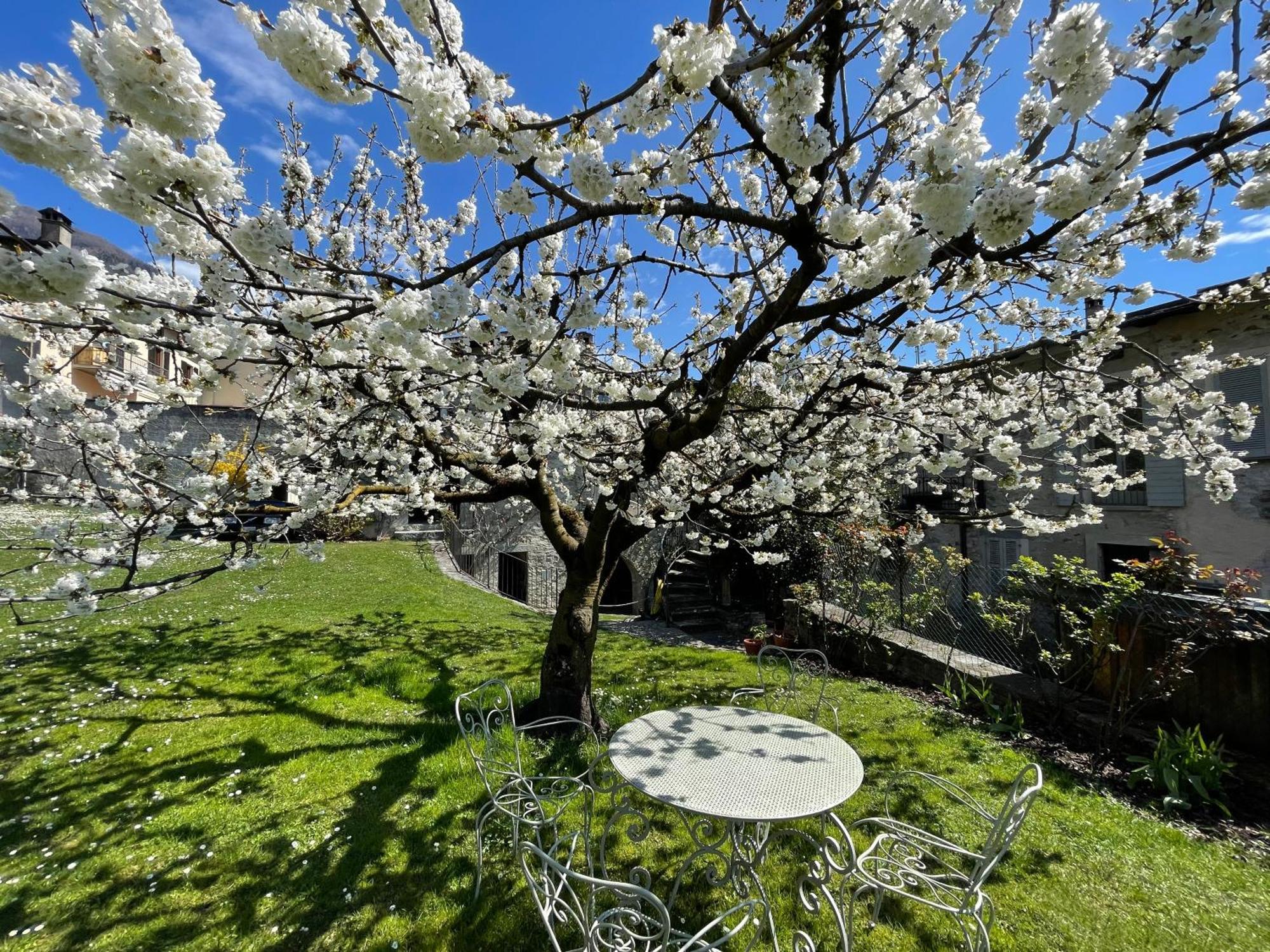 Villa Piano Nobile Al Roseto Del Drago San Bernardo  Esterno foto