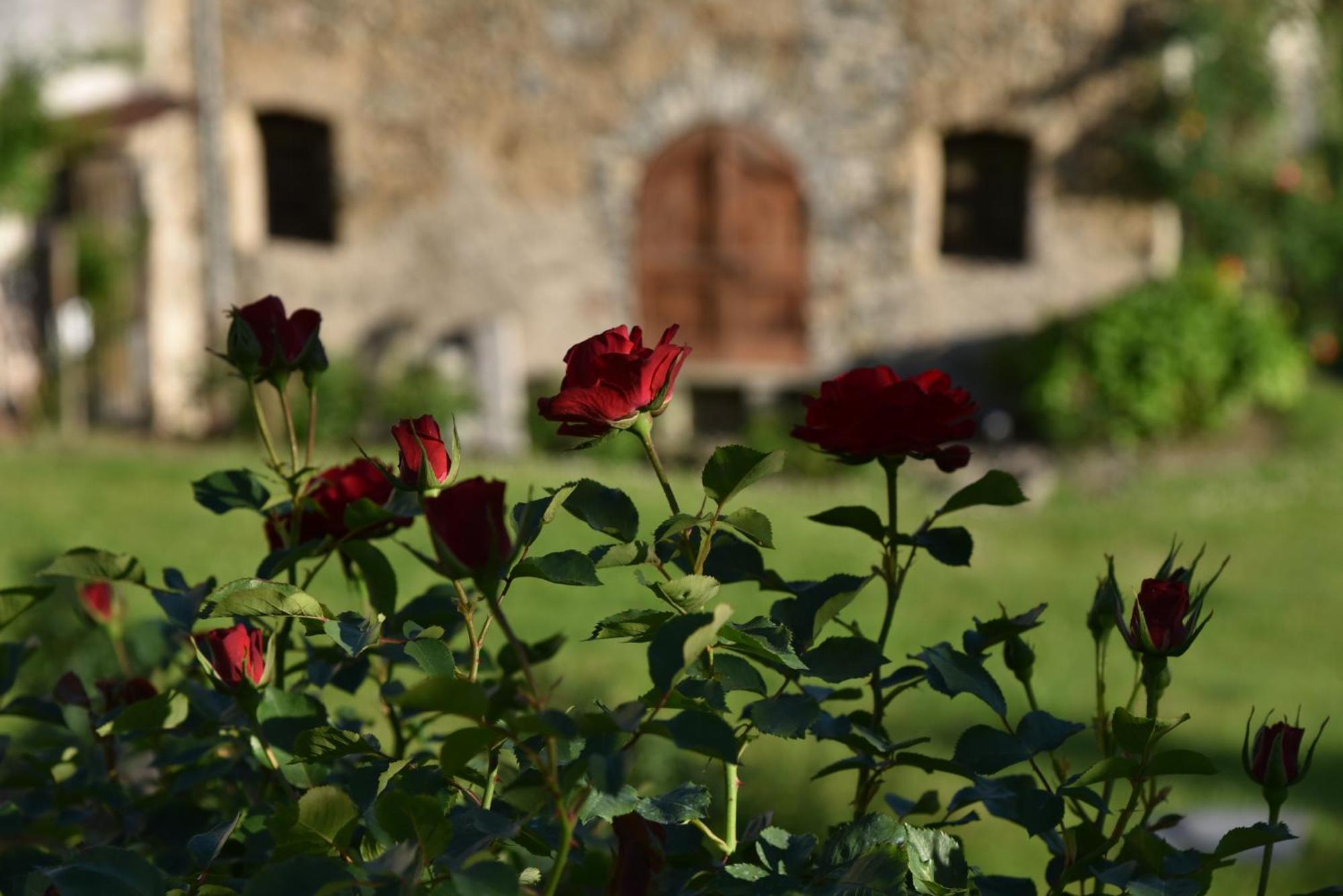 Villa Piano Nobile Al Roseto Del Drago San Bernardo  Esterno foto