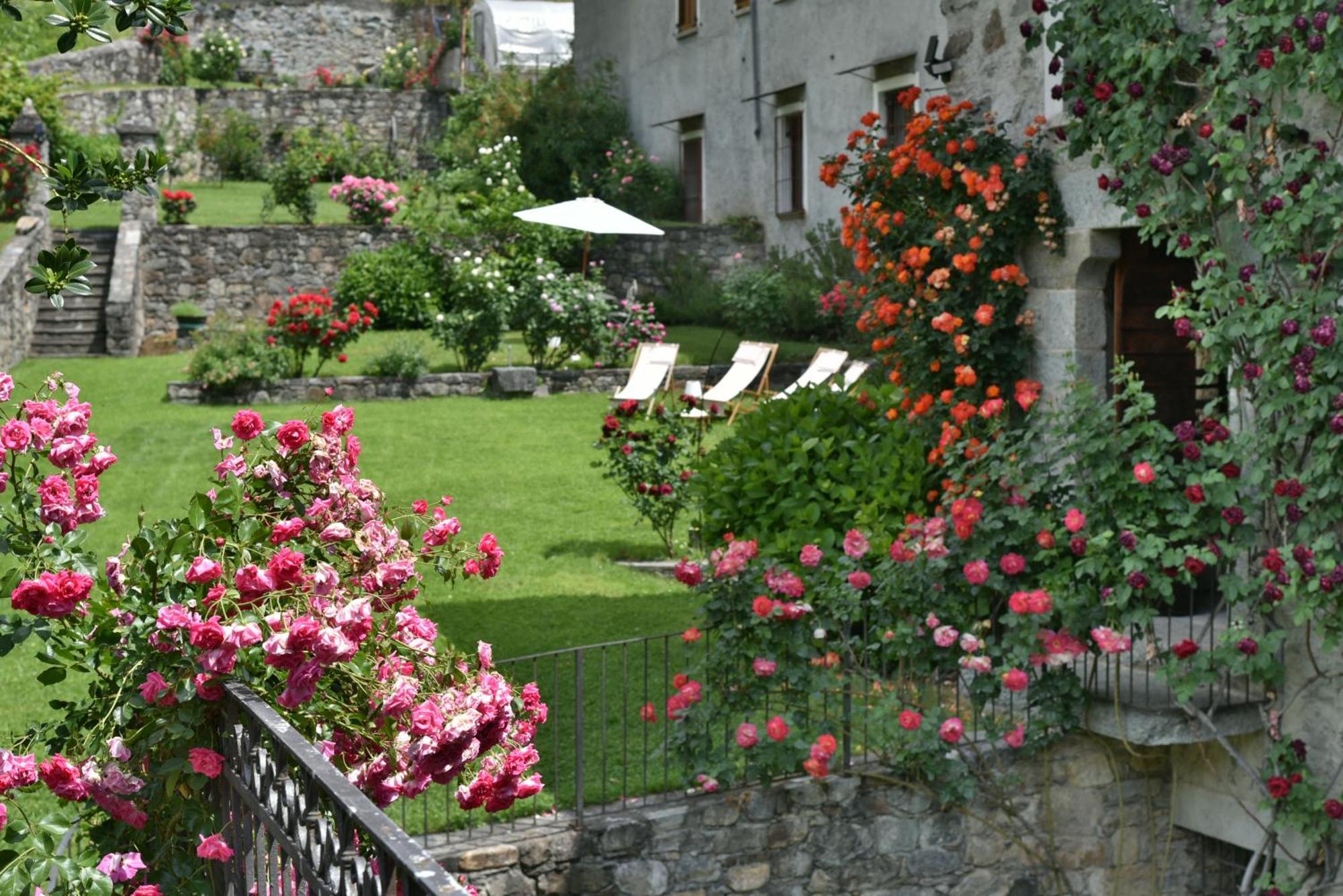Villa Piano Nobile Al Roseto Del Drago San Bernardo  Esterno foto
